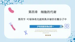 【沪科技版】生物必修一  4.4 叶绿体将光能转换并储存在糖分子中（教学课件）