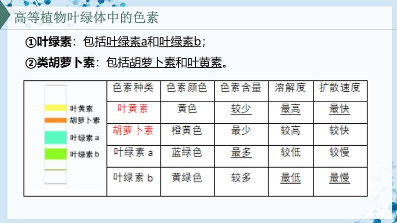 【沪科技版】生物必修一 4.4 叶绿体将光能转换并储存在糖分子中(教学课件)第6页