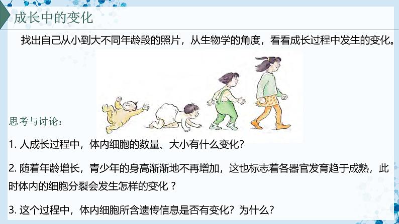 【沪科技版】生物必修一 5.1 细胞通过分裂实现增殖(教学课件)03