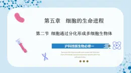 【沪科技版】生物必修一  5.2 细胞通过分化形成多细胞生物体（教学课件）