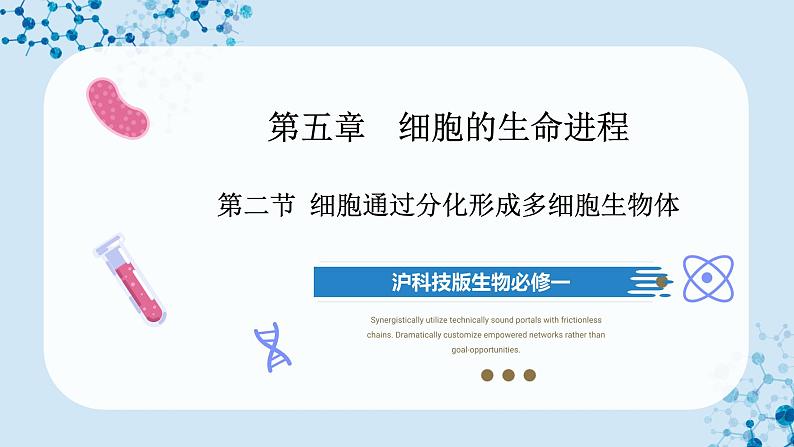 【沪科技版】生物必修一 5.2 细胞通过分化形成多细胞生物体(教学课件)第1页