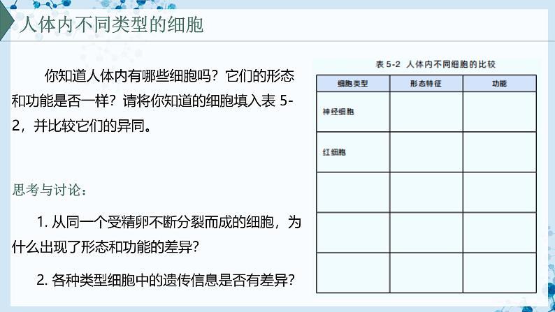 【沪科技版】生物必修一 5.2 细胞通过分化形成多细胞生物体(教学课件)第3页