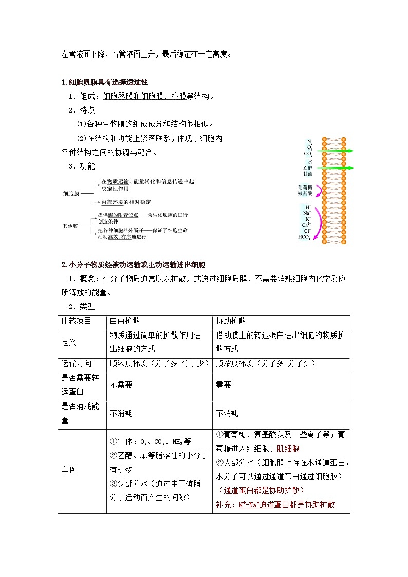 第4章 细胞的代谢-必背知识清单第2页