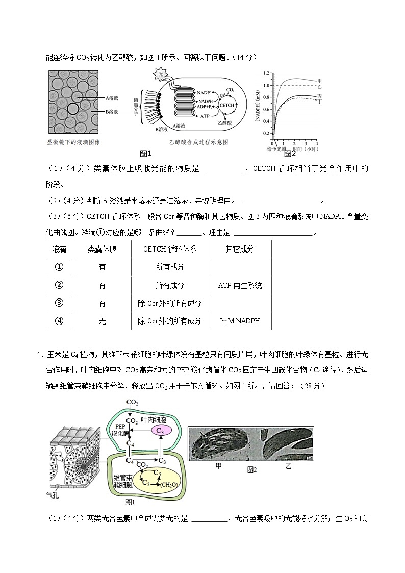 第4章 细胞的代谢(原卷版)第3页