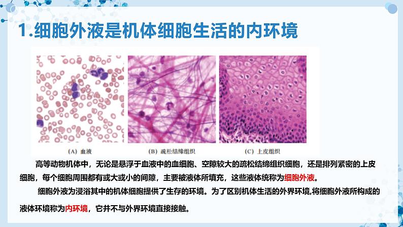 【沪科技版】生物选修一 1.1 内环境是机体细胞赖以生存的环境(课件)第4页