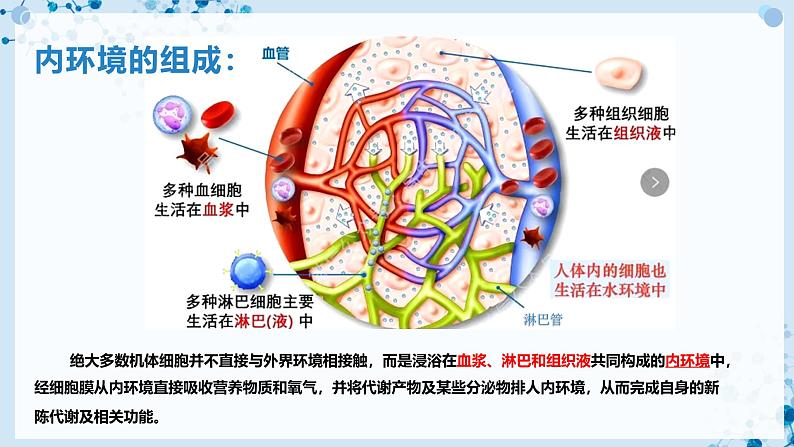 【沪科技版】生物选修一 1.1 内环境是机体细胞赖以生存的环境(课件)第6页