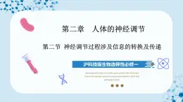 【沪科技版】生物选修一 2.2 神经调节过程涉及信息的转换及传递（课件）