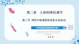 【沪科技版】生物选修一 2.3 神经中枢调控机体的生命活动（课件）