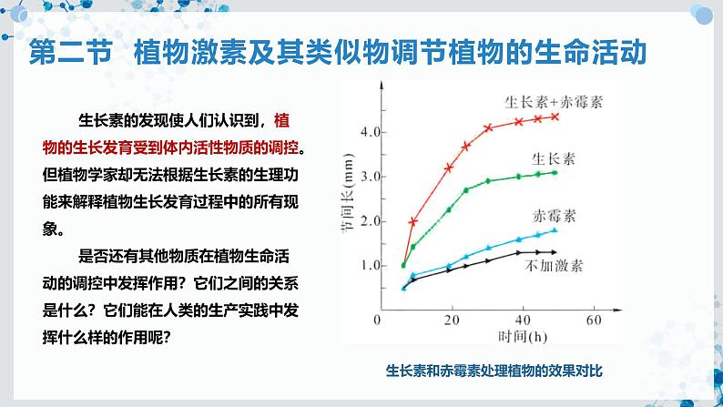 【沪科技版】生物选修一 5.2 植物激素及其类似物调节植物的生命活动(课件)02