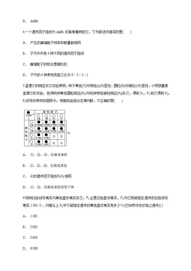 高中生物 人教版 (2019) 必修二1.2.1 孟德尔的豌豆杂交实验(二) 练习(1)-人教版高中生物必修2遗传与进化02