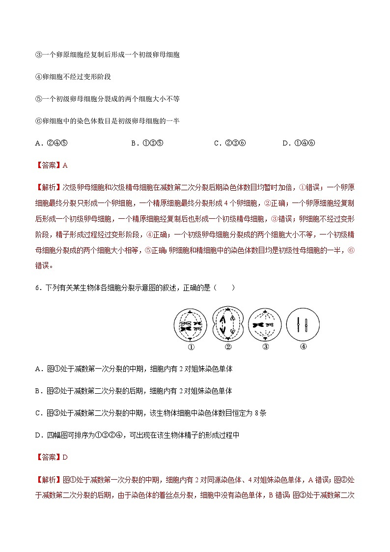 【新教材】2.12 减数分裂和受精作用 练习(2)(解析版)第3页