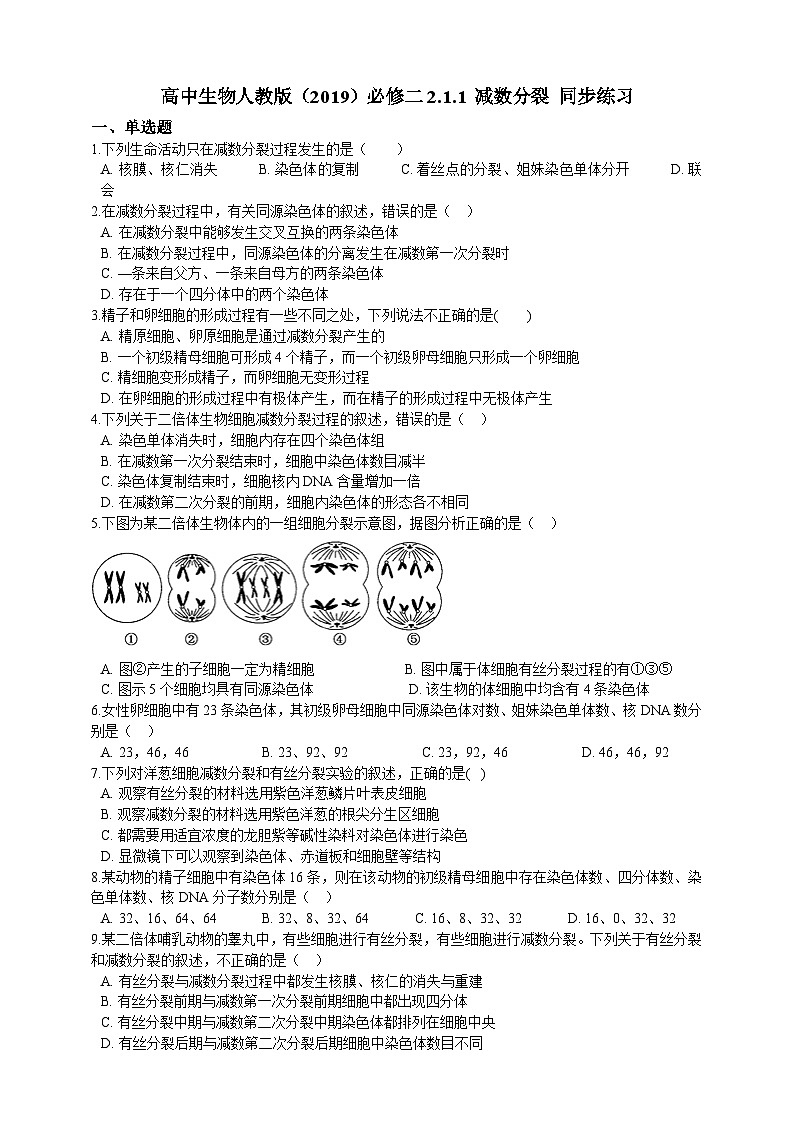 高中生物 人教版 (2019)  必修二同步练习2.1.1 减数分裂 同步练习(含解析)第1页