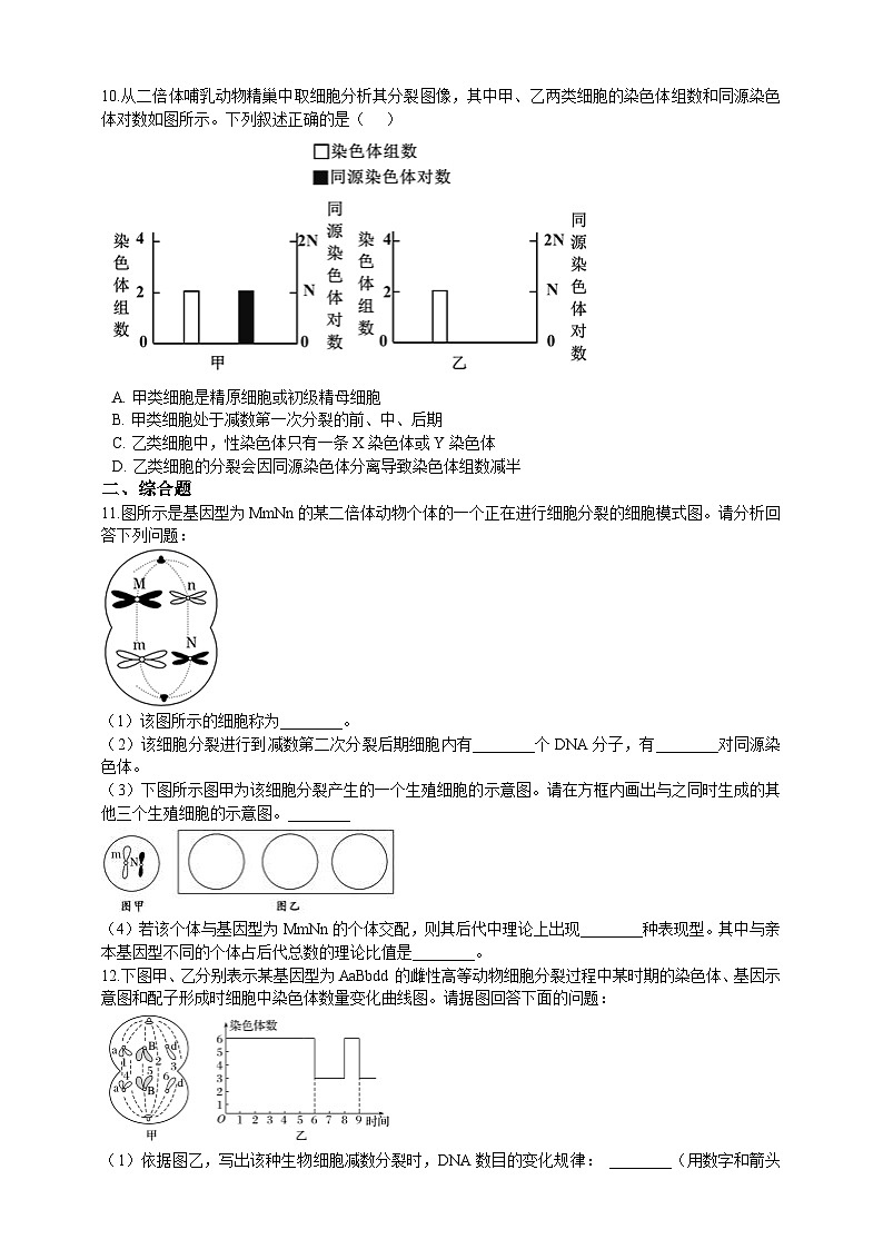 高中生物 人教版 (2019)  必修二同步练习2.1.1 减数分裂 同步练习(含解析)第2页