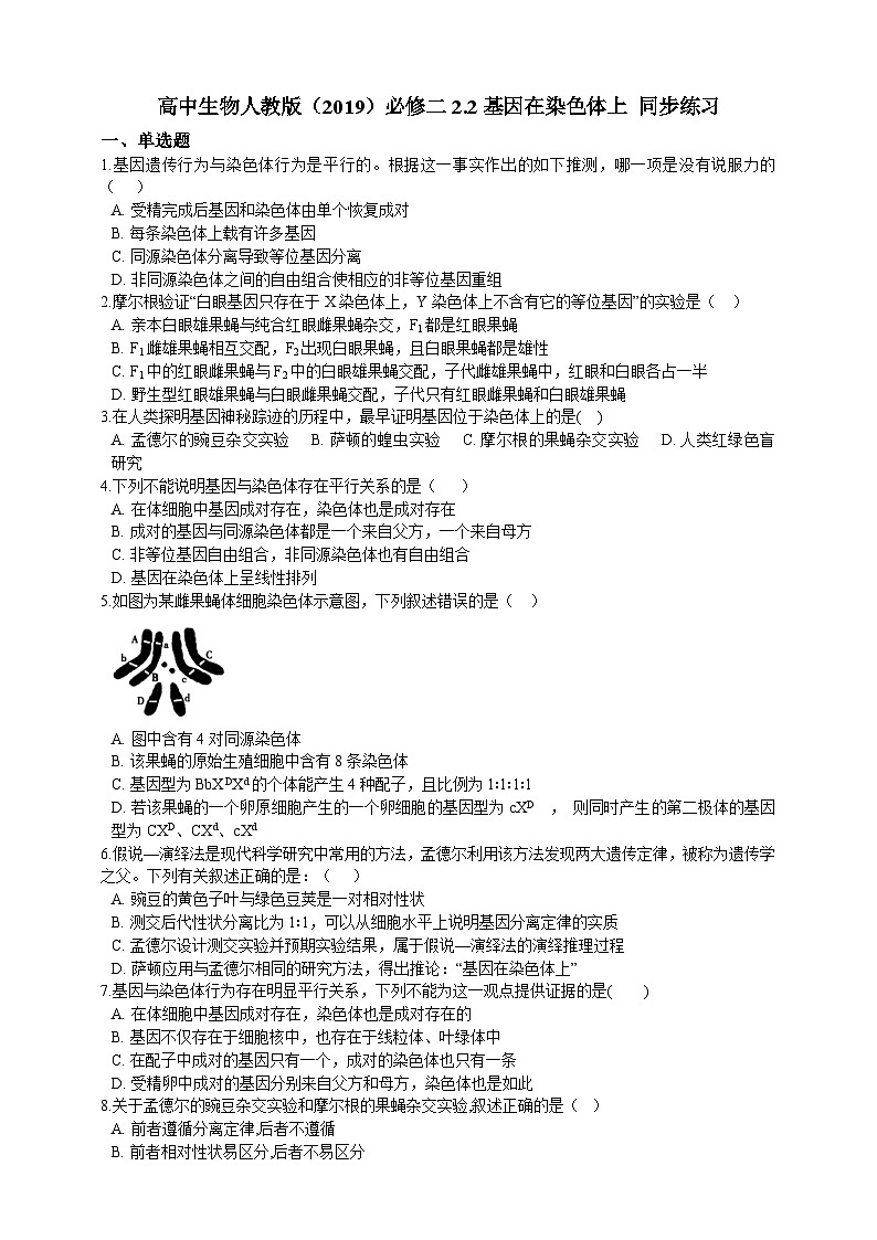 高中生物 人教版 (2019)  必修二同步练习2.2基因在染色体上 同步练习(含解析)第1页