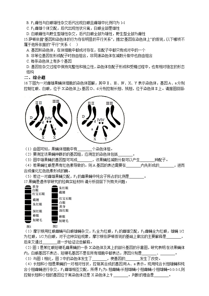 高中生物 人教版 (2019)  必修二同步练习2.2基因在染色体上 同步练习(含解析)第3页