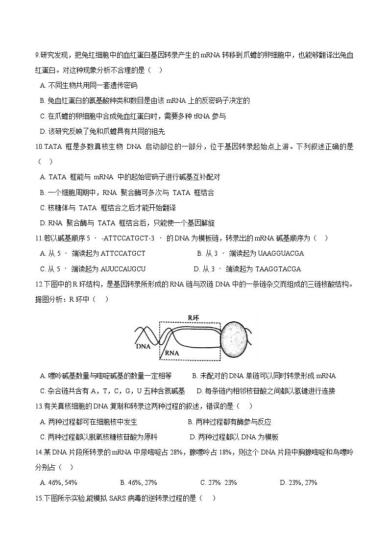 高中生物 人教版 (2019)  必修二同步练习第4章基因的表达单元检测(含解析)第2页