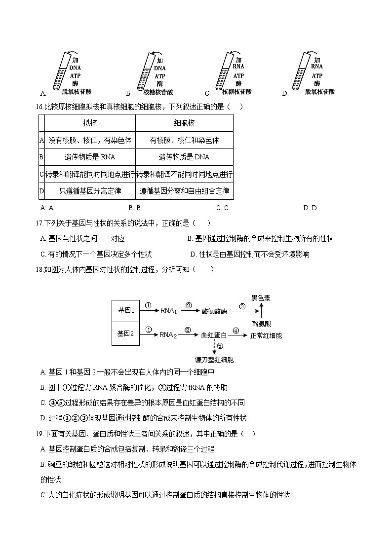 高中生物 人教版 (2019)  必修二同步练习第4章基因的表达单元检测(含解析)第3页