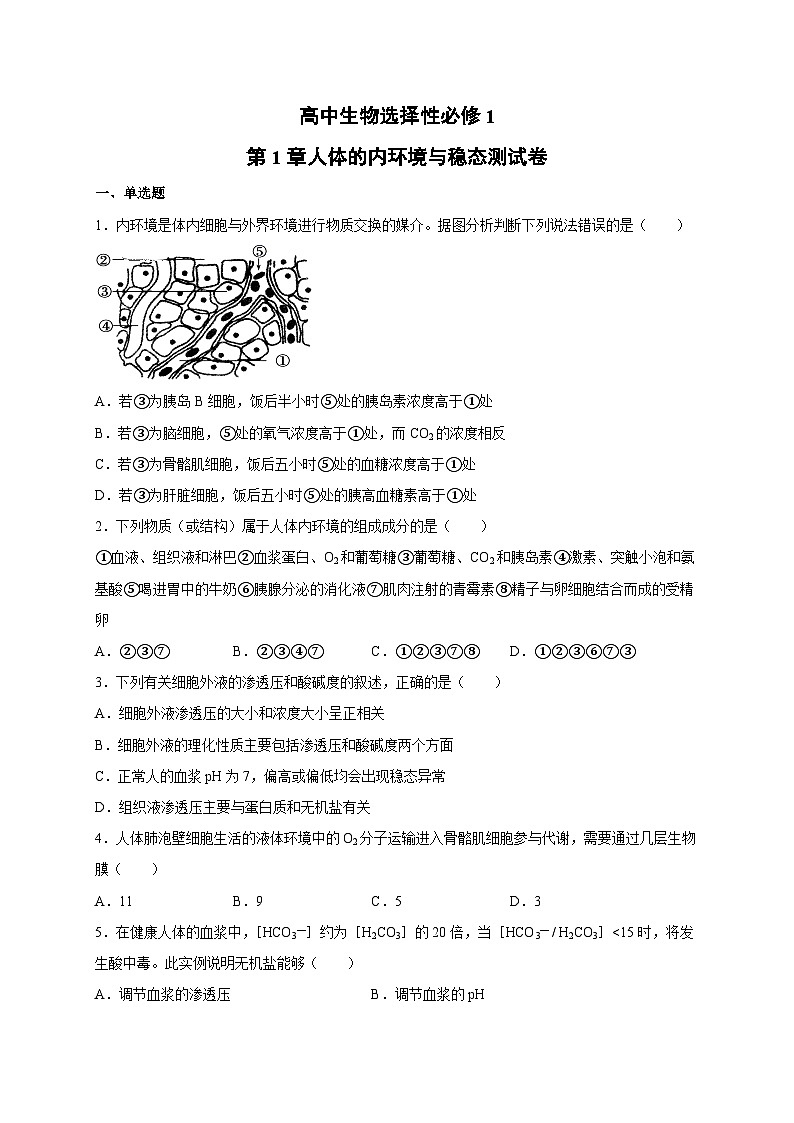 人教版(2019)高中生物选择性必修1第1章 人体的内环境与稳态 单元测试卷第1页