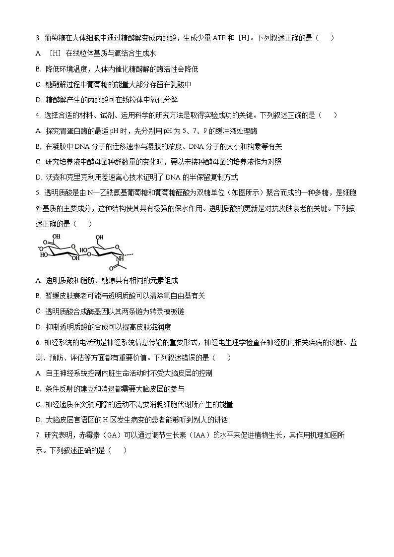 广东省部分学校2024-2025学年高三上学期开学联考生物试卷(原卷版)02