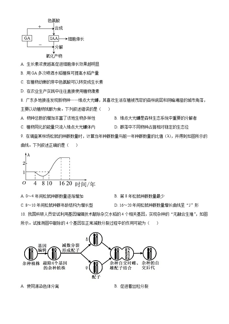 广东省部分学校2024-2025学年高三上学期开学联考生物试卷(原卷版)03