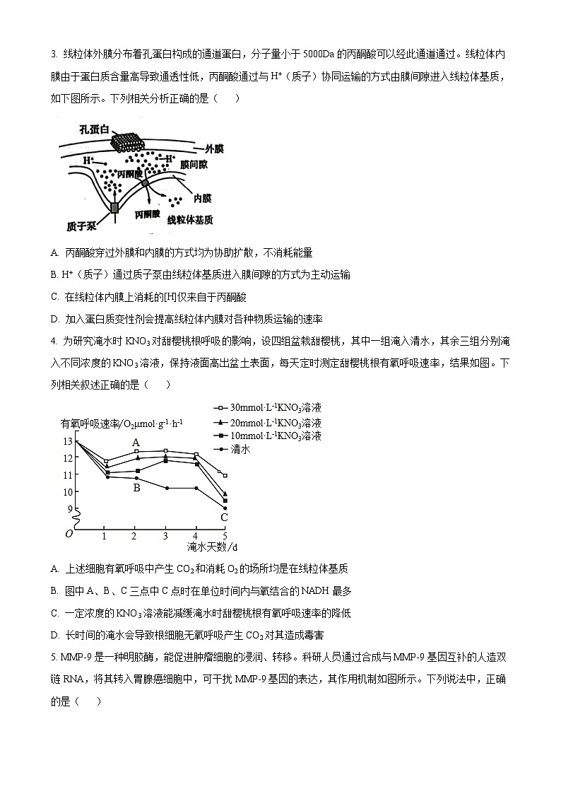 湖南省长沙市雅礼中学2024-2025学年高三上学期入学考试生物试题(原卷版)02