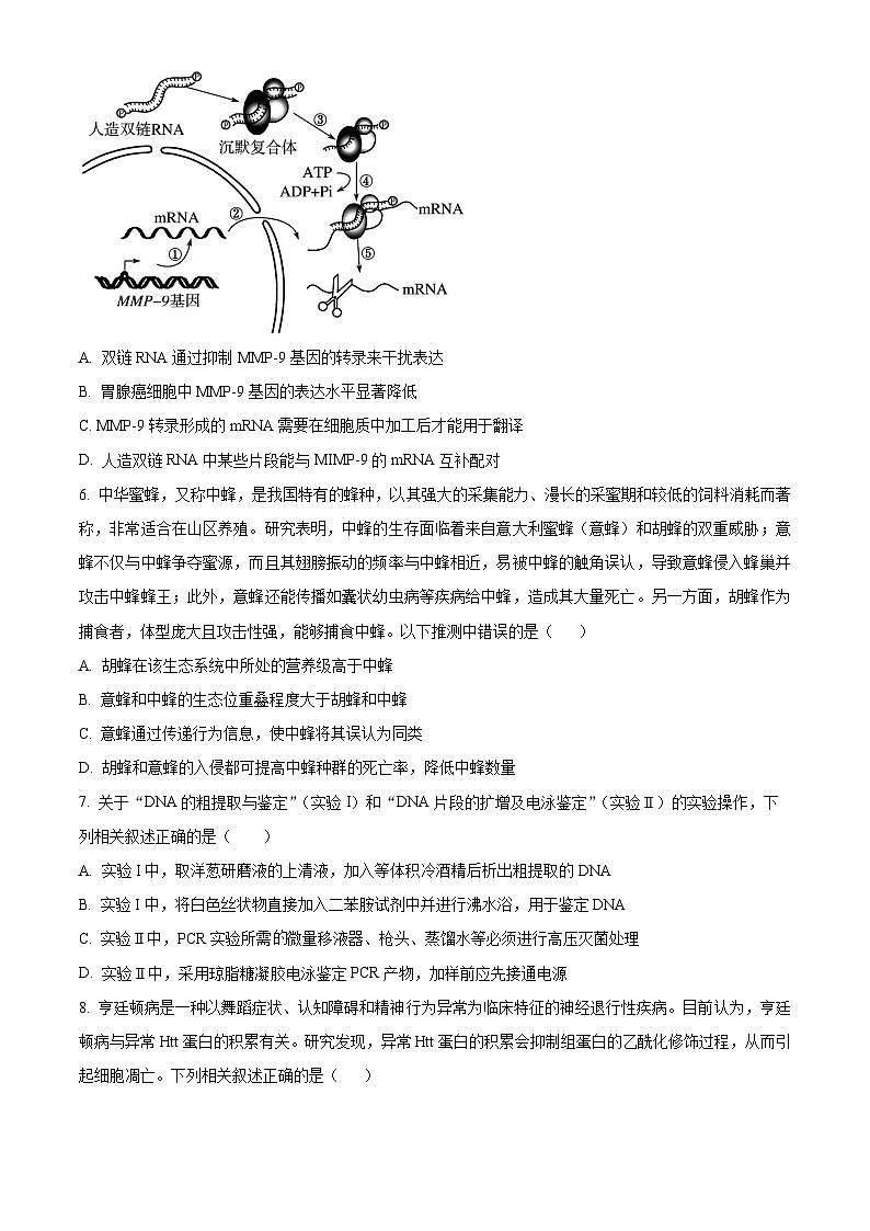 湖南省长沙市雅礼中学2024-2025学年高三上学期入学考试生物试题(原卷版)03