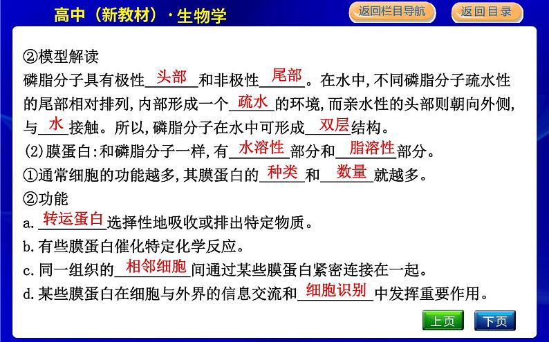 浙科版高中生物必修1第二节 细胞膜控制细胞与周围环境的联系课件PPT07