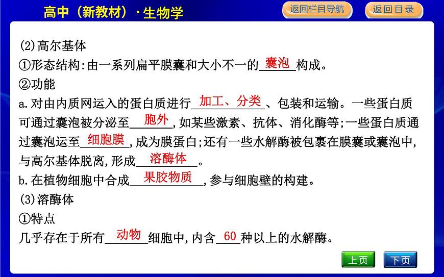 浙科版高中生物必修1第三節(jié)　細(xì)胞質(zhì)是多項(xiàng)生命活動(dòng)的場(chǎng)所課件PPT第7頁
