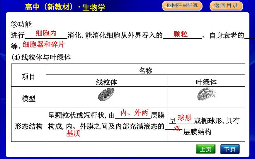 浙科版高中生物必修1第三節(jié)　細(xì)胞質(zhì)是多項(xiàng)生命活動(dòng)的場(chǎng)所課件PPT第8頁