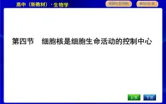 浙科版高中生物必修1第四节　细胞核是细胞生命活动的控制中心课件PPT