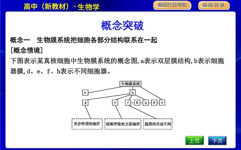 浙科版高中生物必修1第五节 细胞在结构和功能上是一个统一整体课件PPT第6页