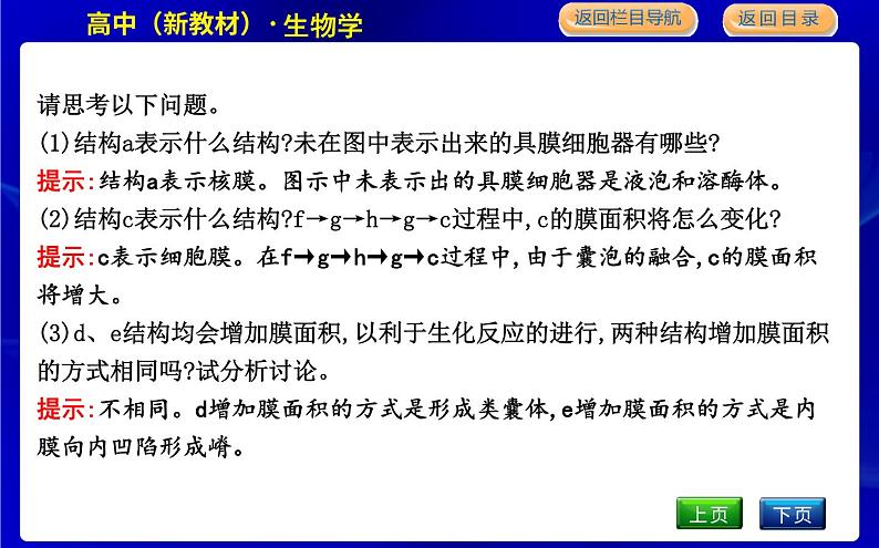 浙科版高中生物必修1第五节 细胞在结构和功能上是一个统一整体课件PPT第7页