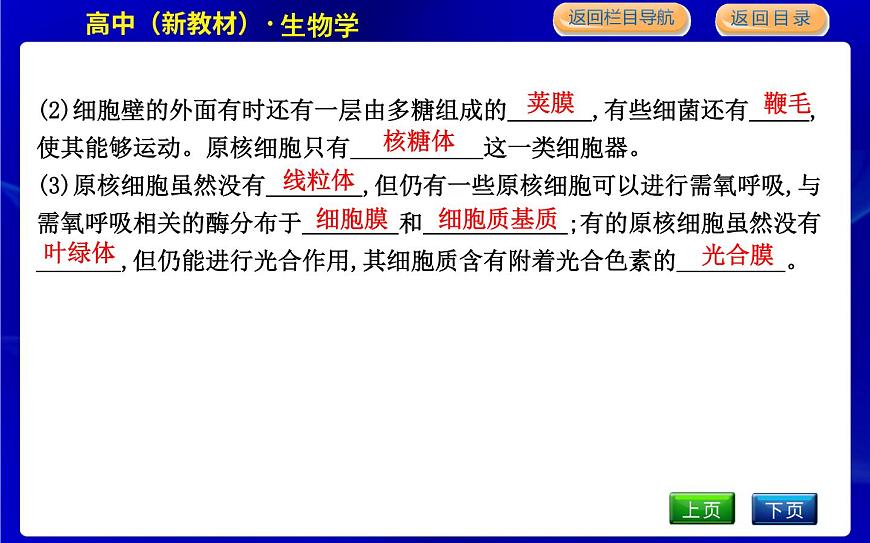 浙科版高中生物必修1第六節(jié)　原核細(xì)胞內(nèi)無(wú)成形的細(xì)胞核課件PPT第5頁(yè)
