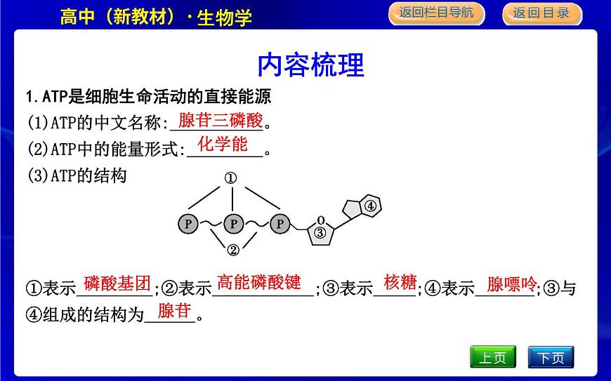 浙科版高中生物必修1第一節(jié)　ATP是細(xì)胞內(nèi)的“能量通貨”課件PPT第4頁(yè)