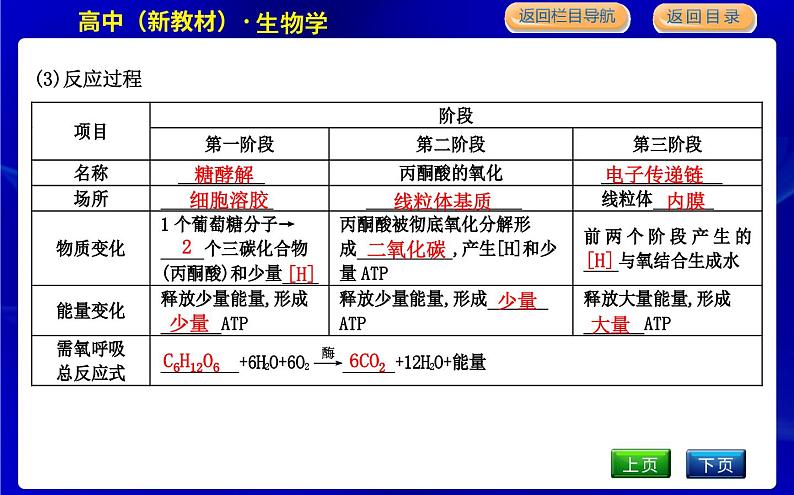 浙科版高中生物必修1第四节 细胞呼吸为细胞生活提供能量课件PPT06