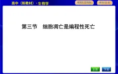 浙科版高中生物必修1第三节　细胞凋亡是编程性死亡课件PPT