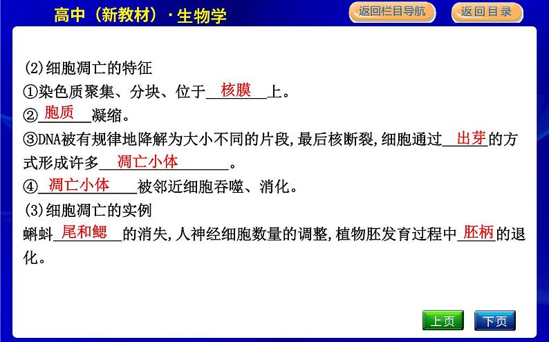 浙科版高中生物必修1第三节 细胞凋亡是编程性死亡课件PPT06