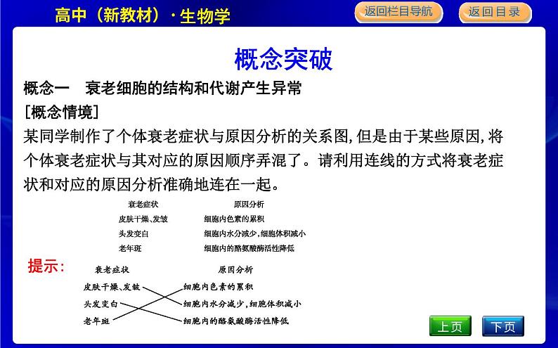 浙科版高中生物必修1第三节 细胞凋亡是编程性死亡课件PPT07