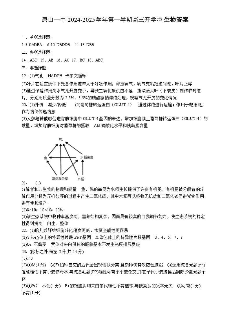 河北省唐山市路南区唐山市第一中学2024-2025学年高三上学期开学考试生物试题参考答案第1页