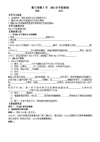 高考生物一轮复习导学案3.3DNA的复制