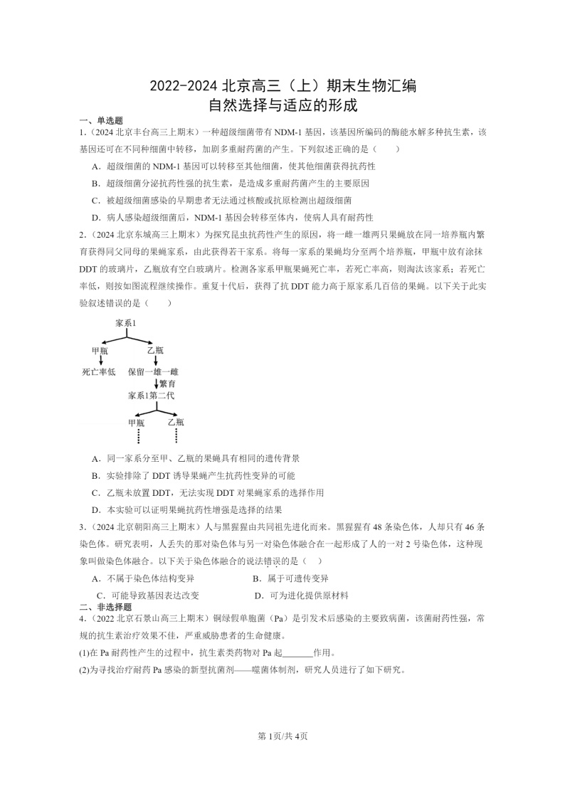 [生物]2022～2024北京高三上学期期末试题生物分类汇编：自然选择与适应的形成