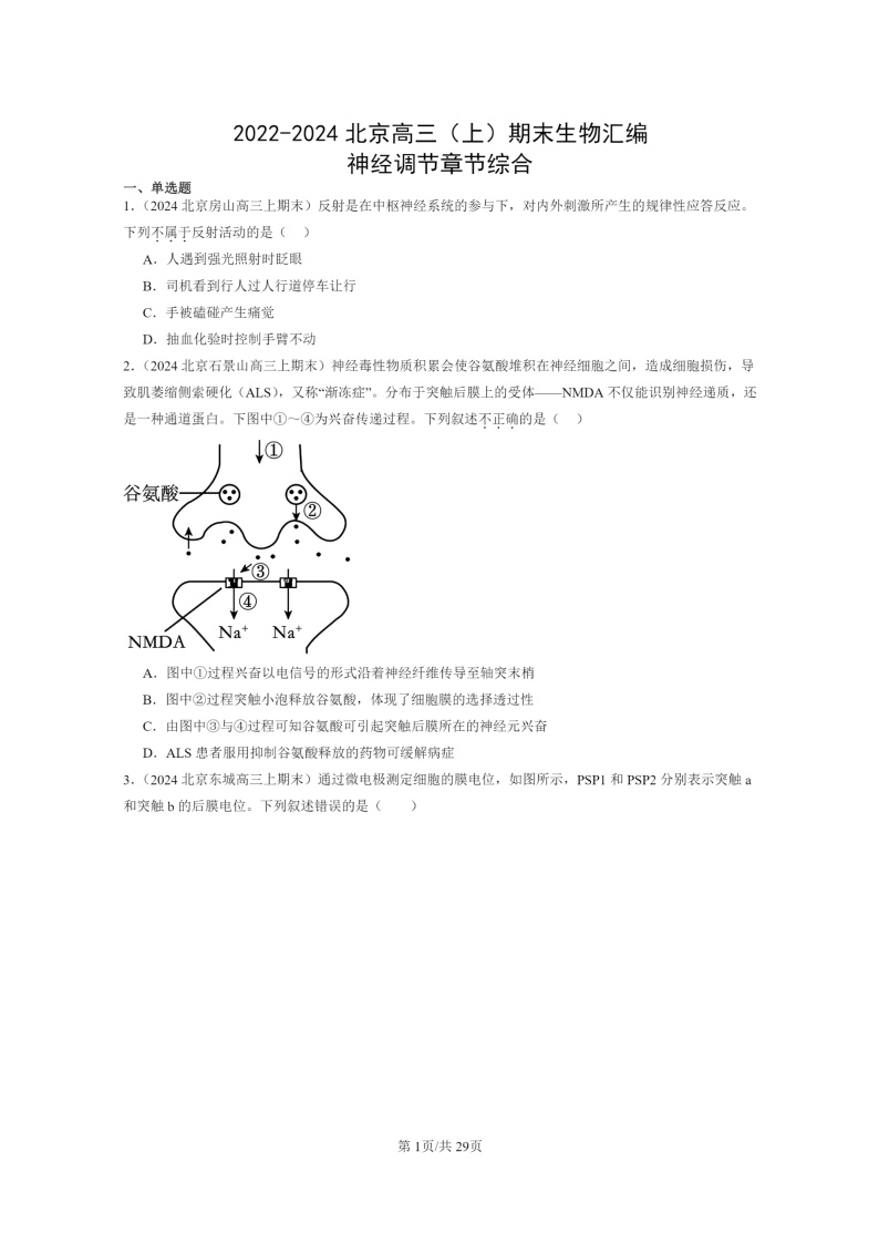 [生物]2022～2024北京高三上学期期末试题生物分类汇编神经调节章节综合