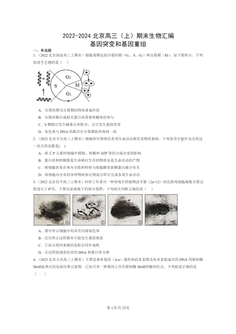 [生物]2022～2024北京重点校高三上学期期末试题生物分类汇编：基因突变和基因重组