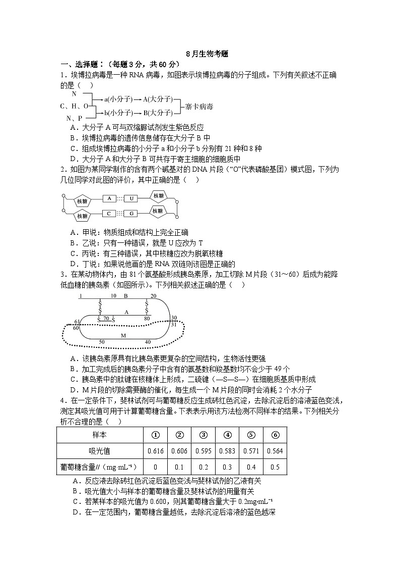 四川省遂寧中學(xué)校2024-2025學(xué)年高三上學(xué)期8月月考生物試題第1頁