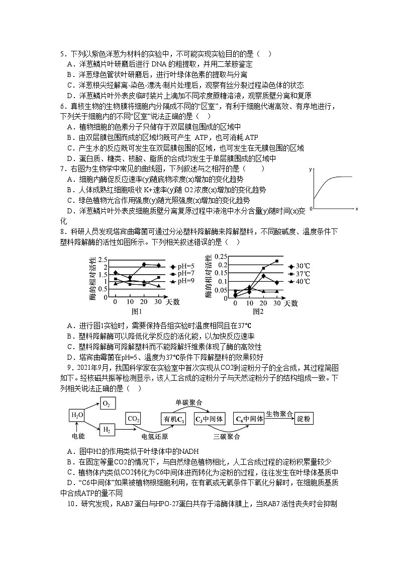 四川省遂寧中學(xué)校2024-2025學(xué)年高三上學(xué)期8月月考生物試題第2頁