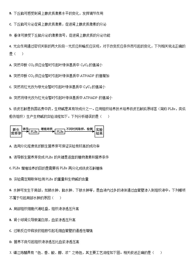 吉林省通化市梅河口市第五中学2024-2025学年高三上学期开学考试生物学试题(含答案)第2页