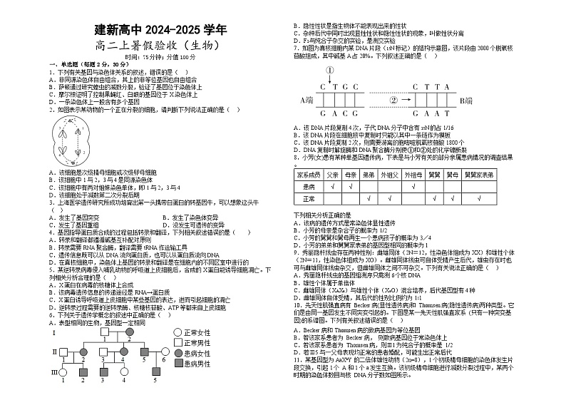 黑龙江省双鸭山市集贤县双鸭山市建新中学2024-2025学年高二上学期开学考试生物试题第1页