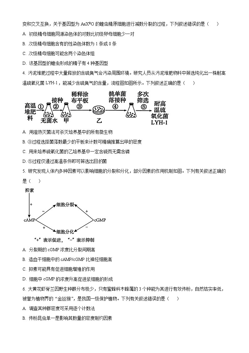 廣東省韶關市2023-2024學年高二下學期期末生物試題（原卷版）第2頁