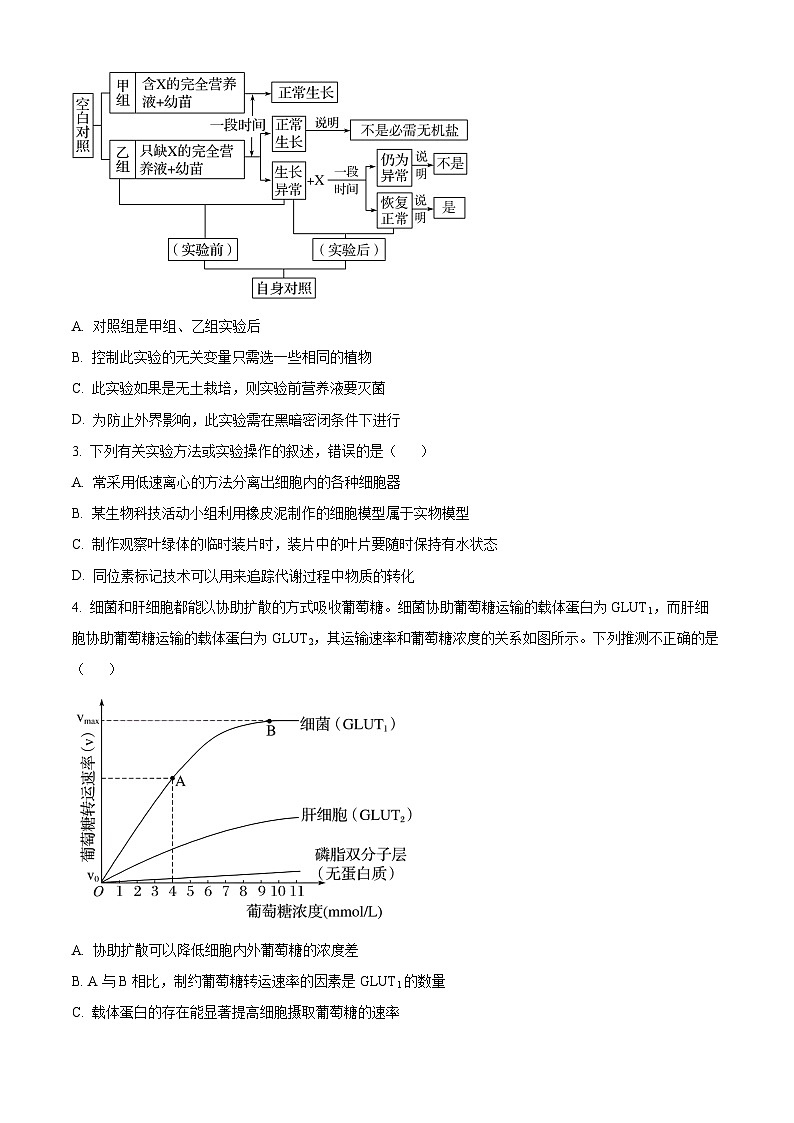 河南省郑州市宇华实验学校2023-2024学年高一下学期7月期末考试生物试题(Word版附解析)第2页