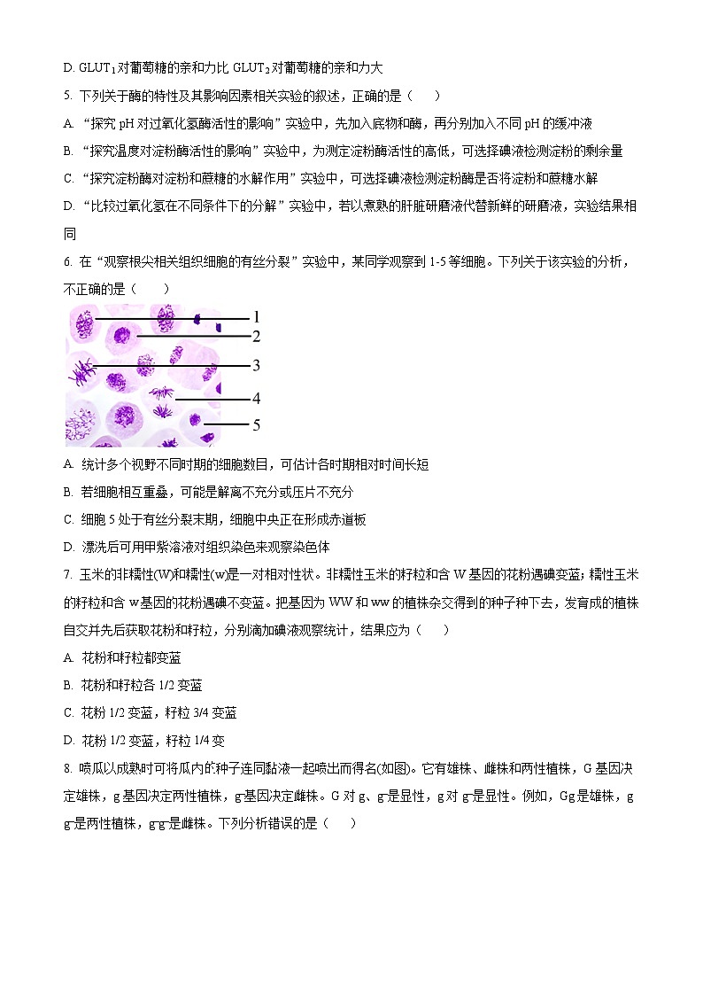 河南省郑州市宇华实验学校2023-2024学年高一下学期7月期末考试生物试题(Word版附解析)第3页